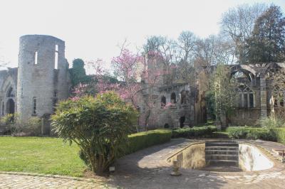 Château de Boulogne la Grasse - photo 3