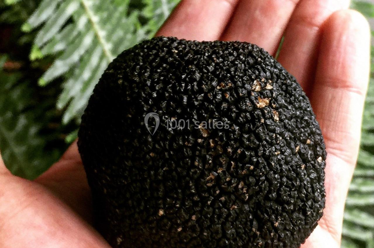 Traiteur Saint-Malo (Ille-et-Vilaine) - Inkandescent #17