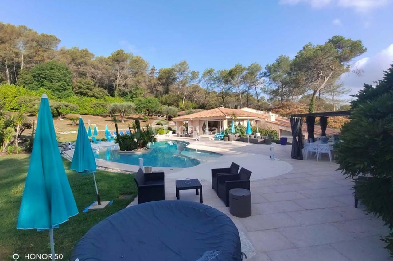 Terrasse avec piscine, chaises longues, parasols et mobilier de jardin, entourée de végétation et d'arbres.