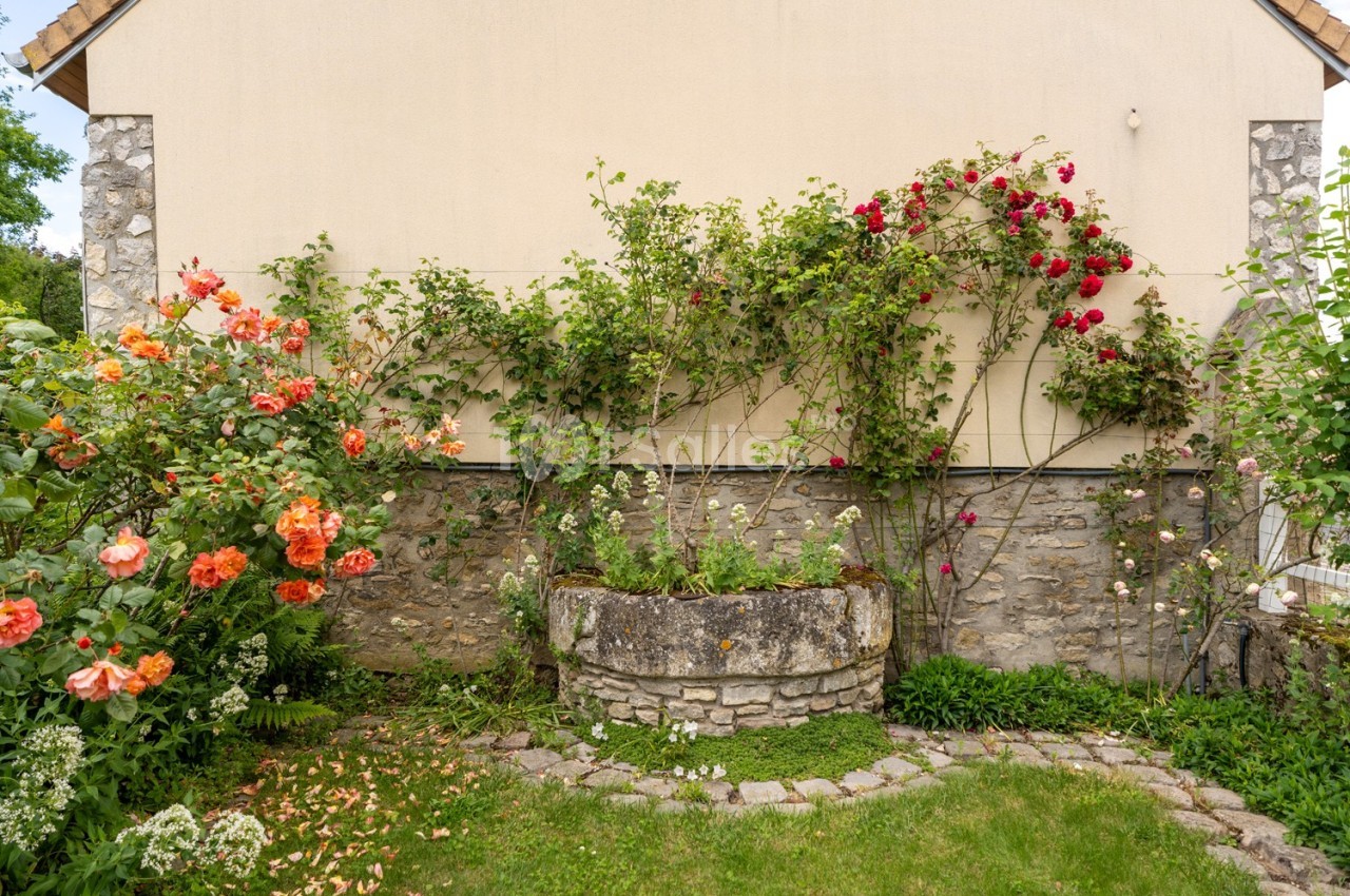 Rosiers grimpants aux fleurs colorées sur un mur en pierre, entourés d'un jardin verdoyant et d'un parterre fleuri.