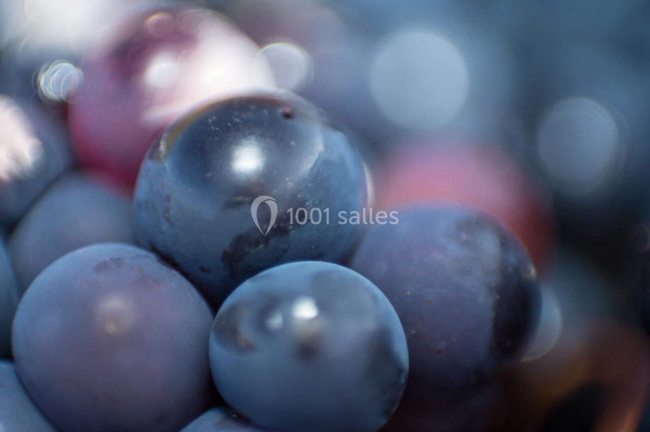 Gros plan de raisins violets avec des reflets lumineux et un flou d'arrière-plan.