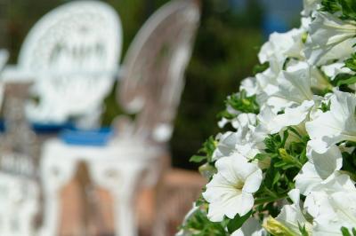 Location salle Propriano (Corse-du-Sud) - A'mare Corsica  #26