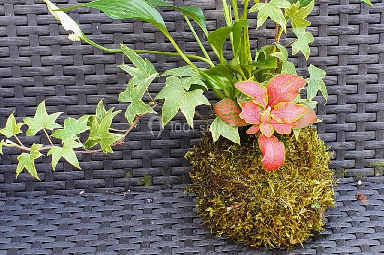 Plante en kokedama avec feuillage vert et touches de rouge, posée sur une surface en osier tressé.