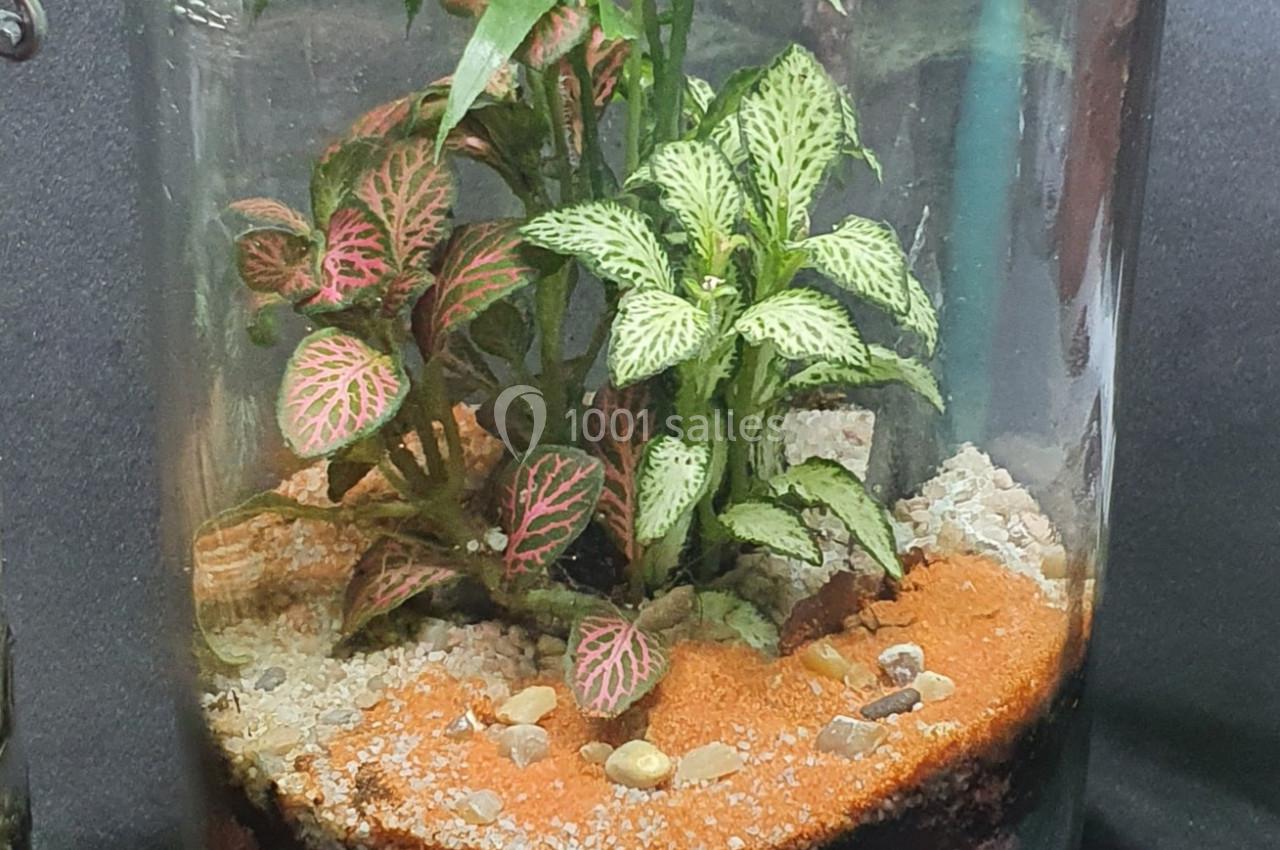 Plantes aux feuilles colorées dans un terrarium en verre, posées sur un sol de sable et de gravier.