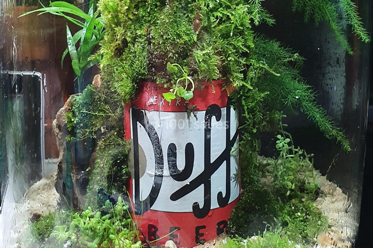 Canette de bière recyclée en élément décoratif dans un terrarium rempli de mousse et de plantes vertes.