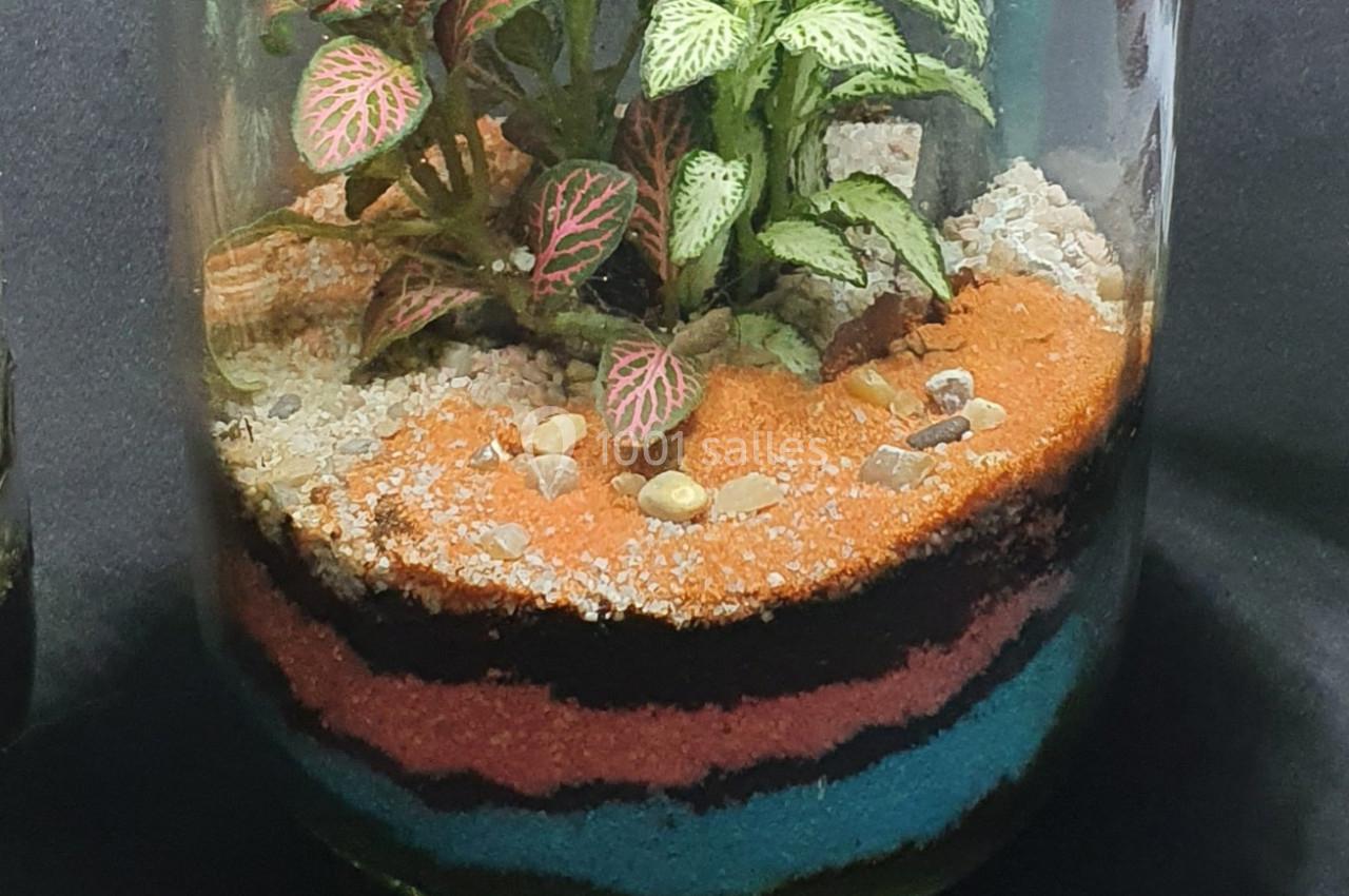 Terrarium en verre contenant une plante verte à feuilles nervurées roses, avec des couches de sable coloré et de gravier.