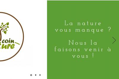 Terrarium en verre contenant une plante verte à feuilles nervurées roses, avec des couches de sable coloré et de gravier.