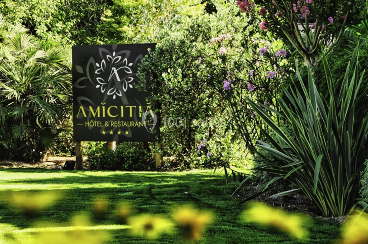 Amicitia - galerie - photo 7