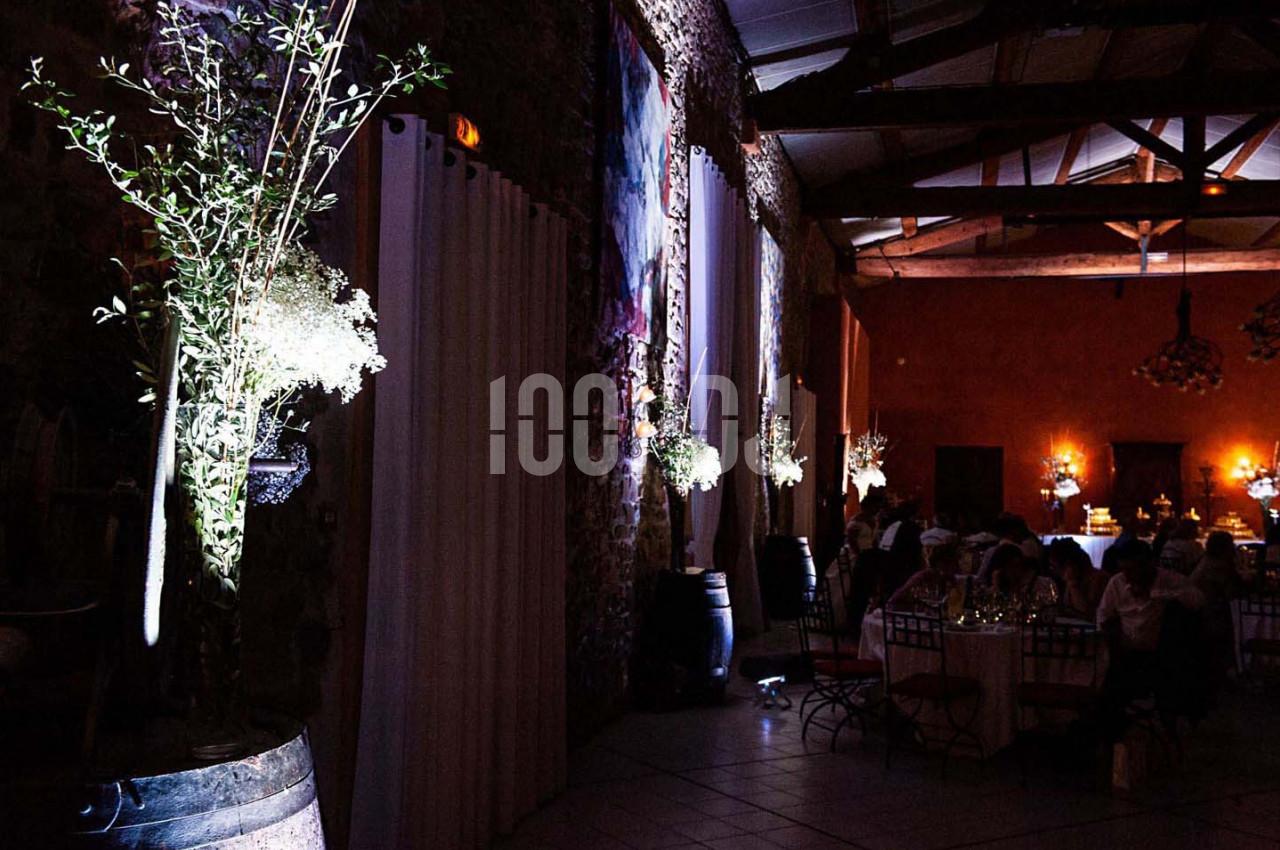 Salle de réception décorée avec des plantes et éclairages tamisés, tables dressées pour un événement.