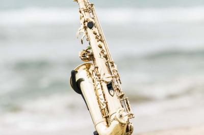 Bladevents DJ Sax - photo 4