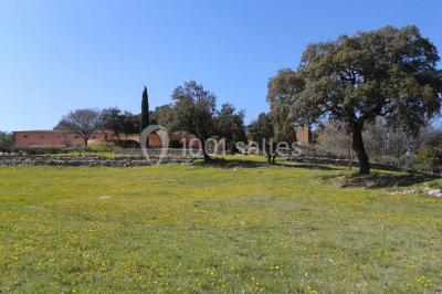 Domaine De L'amaurigue - photo 3