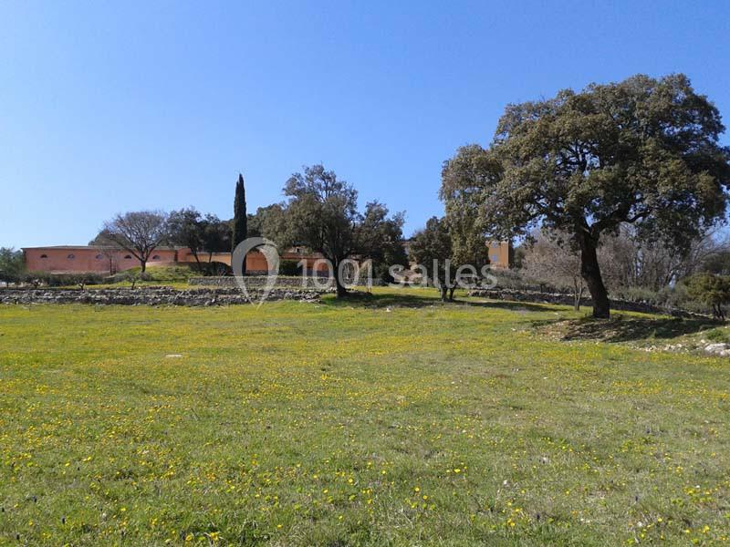 Domaine De L'amaurigue - galerie - photo 3