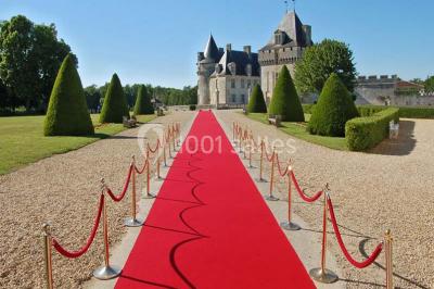 Location salle Saint-Porchaire (Charente-Maritime) - Château De La Roche Courbon #17