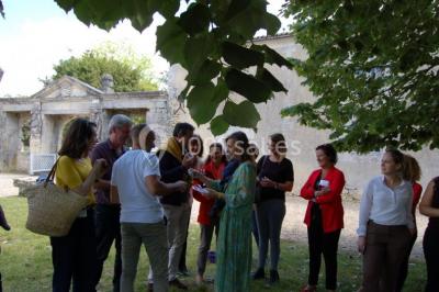 Location salle Saint-Porchaire (Charente-Maritime) - Château De La Roche Courbon #17