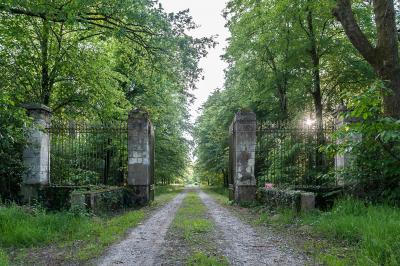 Pelouse verdoyante entourée de grands arbres sous un ciel partiellement nuageux.