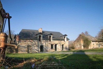 Pelouse verdoyante entourée de grands arbres sous un ciel partiellement nuageux.