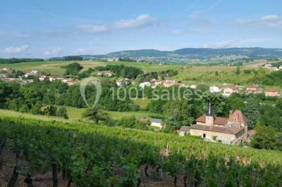 Miniature Location salle Liergues (Rhône) - Domaine du Passeloup #15 Allée bordée de pelouse et d'arbres taillés, sous un ciel dégagé dans un jardin verdoyant.