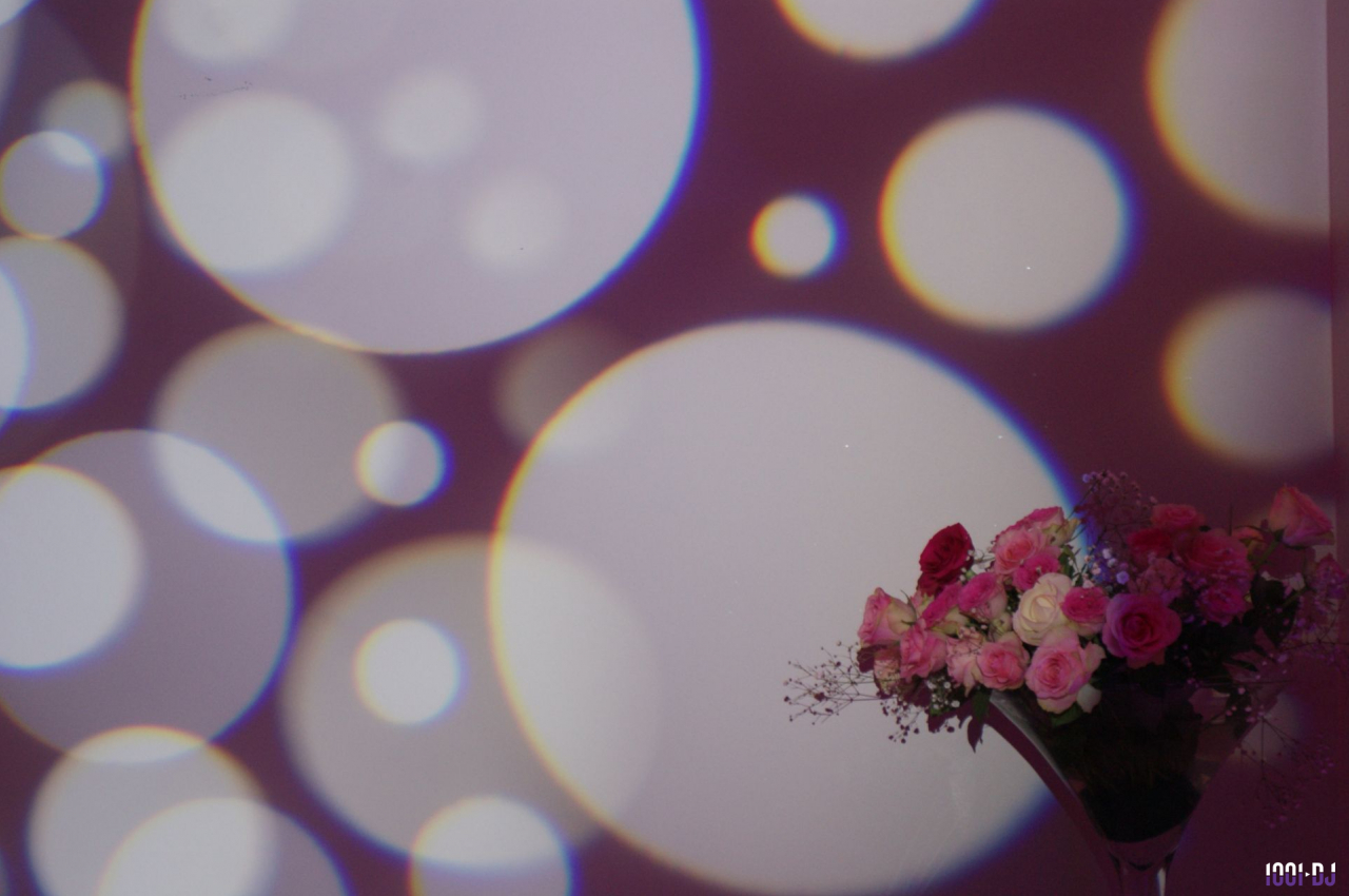 DJ Émerainville (Seine-et-Marne) - Night Club Mobile #8