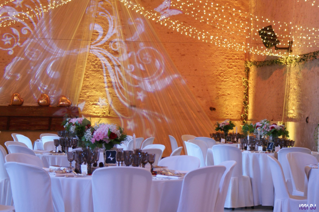 DJ Émerainville (Seine-et-Marne) - Night Club Mobile #4