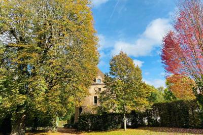 Miniature Location salle Saint-Léger-en-Bray (Oise) - Domaine du Colombier #14 Décoration festive sous une tente avec arche lumineuse, sapins de Noël, guirlandes et sol en bois.