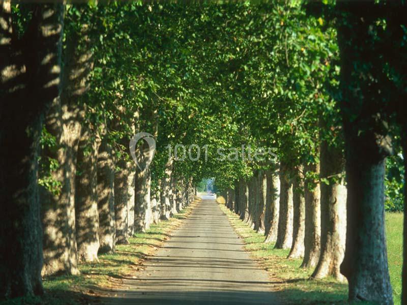 Château De Vergières - galerie - photo 6