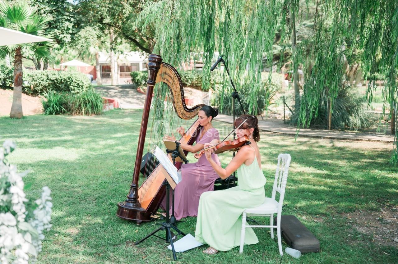 Domaine de la Mourachonne - galerie - photo 16
