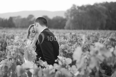 Miniature Location salle Pierrefeu-du-Var (Var) - Château De L'aumerade - Pavillon Sully #11 Location salle Pierrefeu-du-Var (Var) - Château De L'aumerade - Pavillon Sully #22