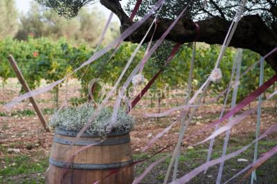 Miniature Location salle Pierrefeu-du-Var (Var) - Château De L'aumerade - Pavillon Sully #15 Location salle Pierrefeu-du-Var (Var) - Château De L'aumerade - Pavillon Sully #22