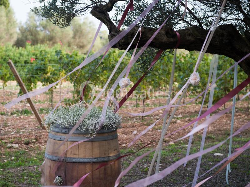 Location salle Pierrefeu-du-Var (Var) - Château De L'aumerade - Pavillon Sully #15