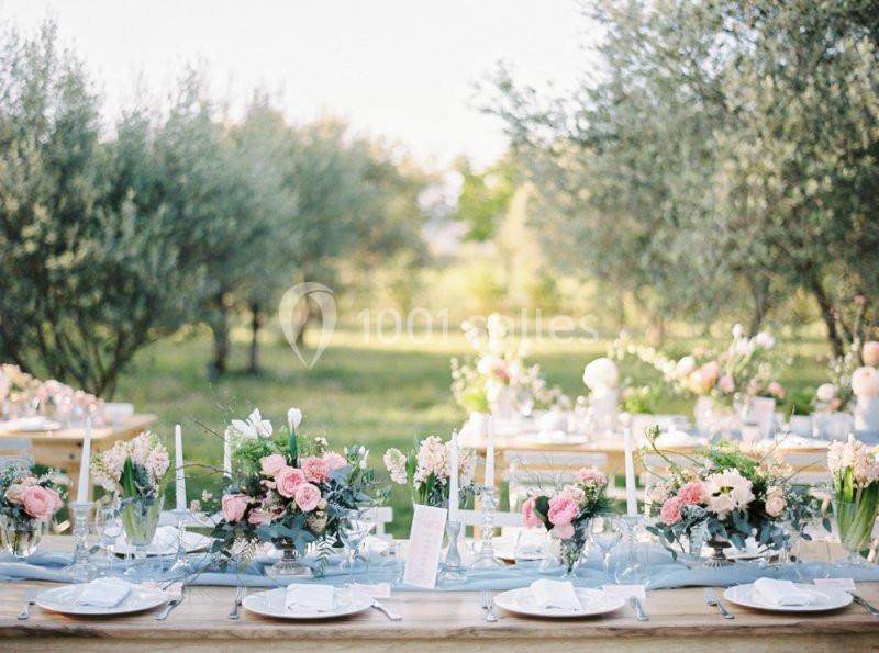 Location salle Pierrefeu-du-Var (Var) - Château De L'aumerade - Pavillon Sully #9