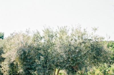 Miniature Location salle Pierrefeu-du-Var (Var) - Château De L'aumerade - Pavillon Sully #13 Location salle Pierrefeu-du-Var (Var) - Château De L'aumerade - Pavillon Sully #22