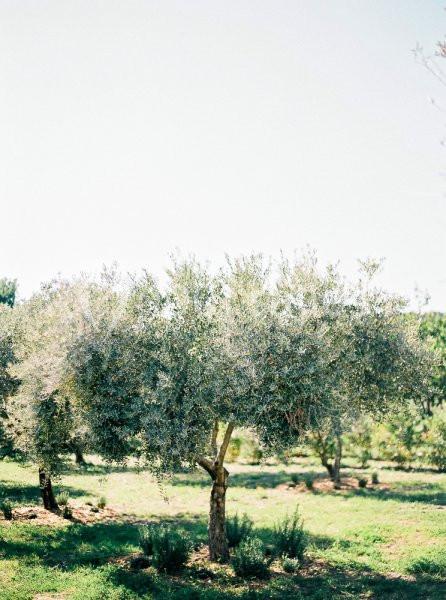 Location salle Pierrefeu-du-Var (Var) - Château De L'aumerade - Pavillon Sully #13