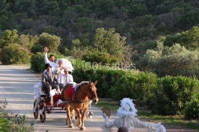 Miniature Location salle Roquebrune-sur-Argens (Var) - Domaine Des Planes #9 Location salle Roquebrune-sur-Argens (Var) - Domaine Des Planes #22