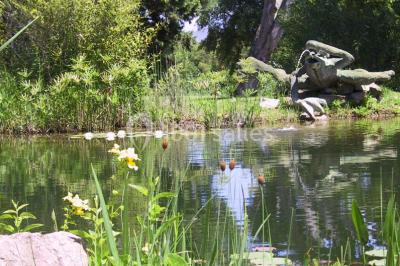 Miniature Location salle Roquebrune-sur-Argens (Var) - Domaine Des Planes #11 Location salle Roquebrune-sur-Argens (Var) - Domaine Des Planes #22