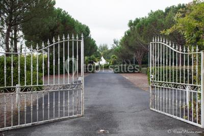 La Provençale - photo 5
