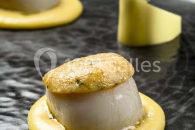 Comptoir de réception en bois avec étagères éclairées contenant des bouteilles et des verres, décoré de plantes séchées.