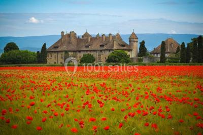 Miniature Location salle Thonon-les-Bains (Haute-Savoie) - Château De Ripaille #13 Location salle Thonon-les-Bains (Haute-Savoie) - Château De Ripaille #24