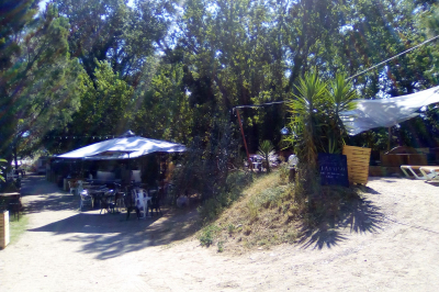 Affiche colorée annonçant le 50e anniversaire du Rachdingue avec une liste d'artistes et la date du 28 juillet.