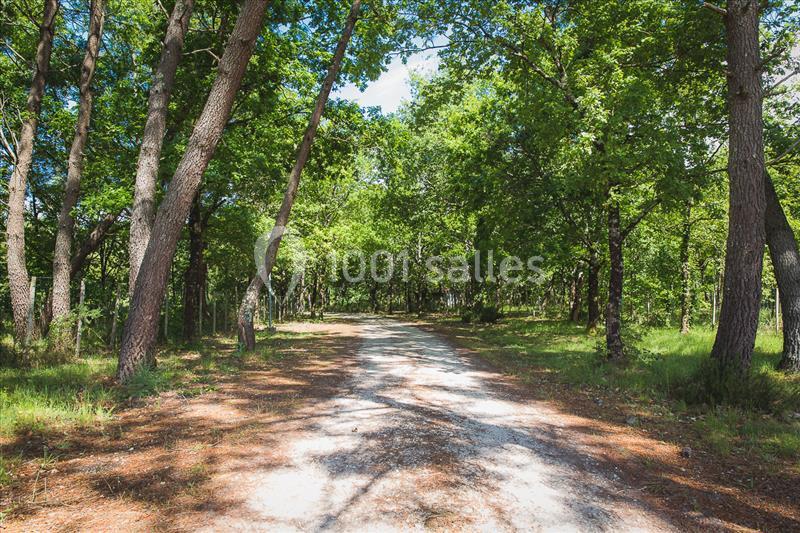 Domaine De La Grange De Soubeyran - galerie - photo 6