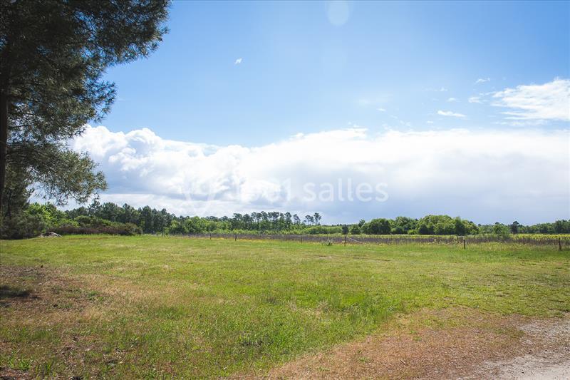 Domaine De La Grange De Soubeyran - galerie - photo 13