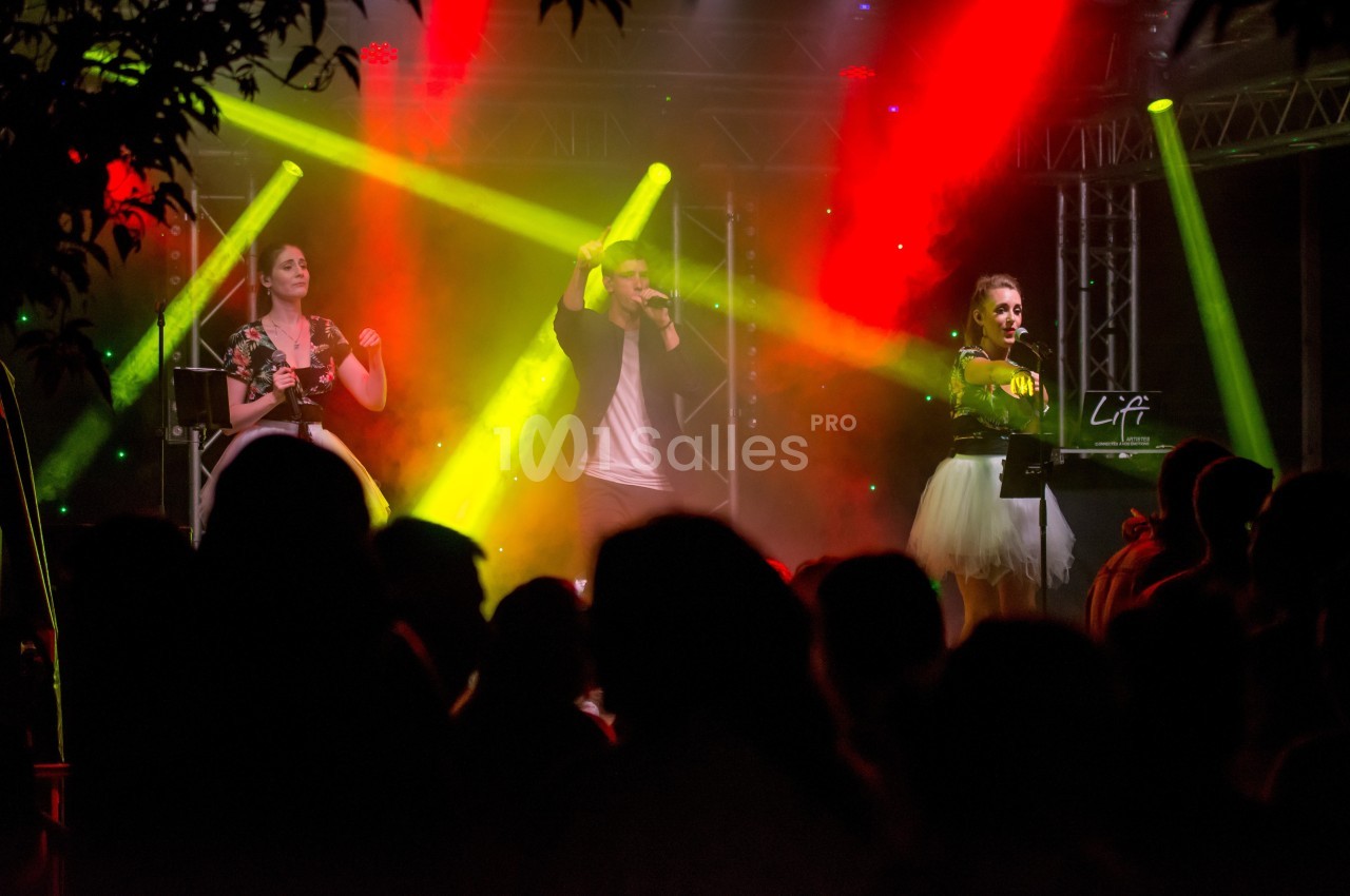 LiFi Artistes - galerie - photo 2