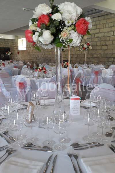 Location salle Trosly-Loire (Aisne) - Domaine d'Orgival #6