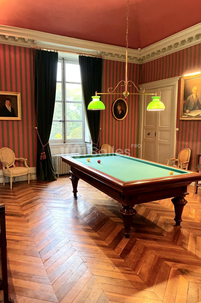Château De Chavagneux - galerie - photo 18