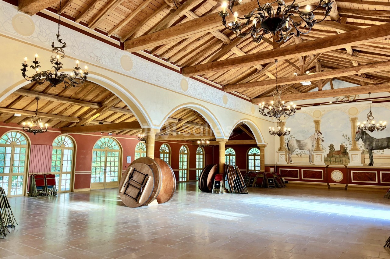 Château De Chavagneux - galerie - photo 21