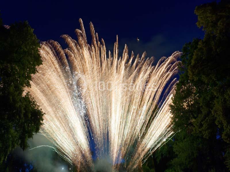 Location salle Eaubonne (Val-d'Oise) - Château De La Chesnaie #24