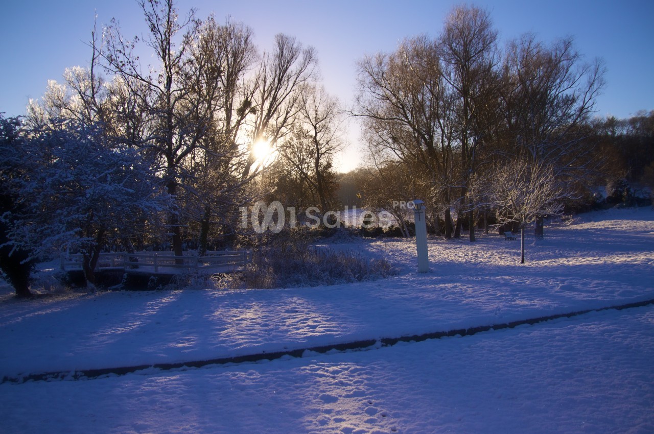 Paysage hivernal avec arbres dénudés, sol enneigé et soleil bas illuminant la scène en arrière-plan.