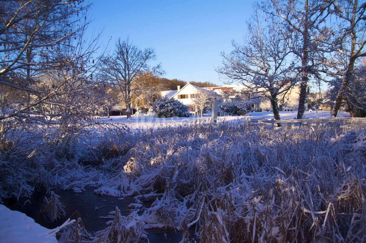 Paysage hivernal avec un ruisseau gelé, des arbres enneigés et des maisons blanches sous un ciel bleu clair.