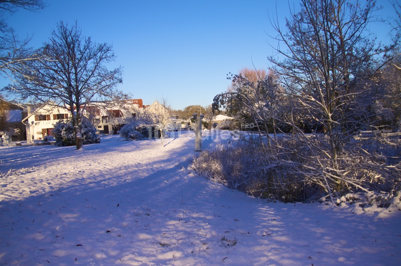 Paysage hivernal avec des arbres nus et des maisons en arrière-plan, recouverts de neige sous un ciel bleu clair.