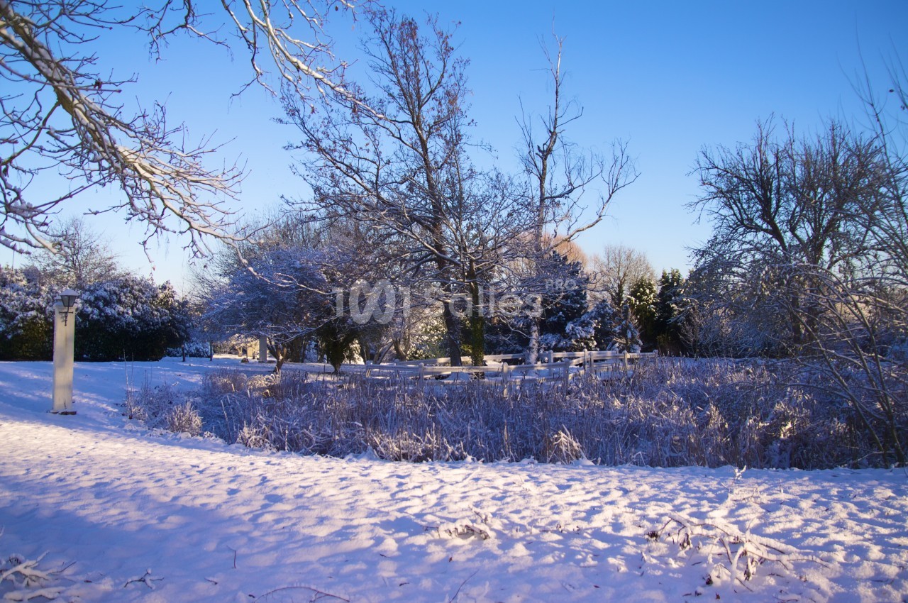 Paysage hivernal avec arbres nus, sol recouvert de neige et ciel bleu dégagé en arrière-plan.
