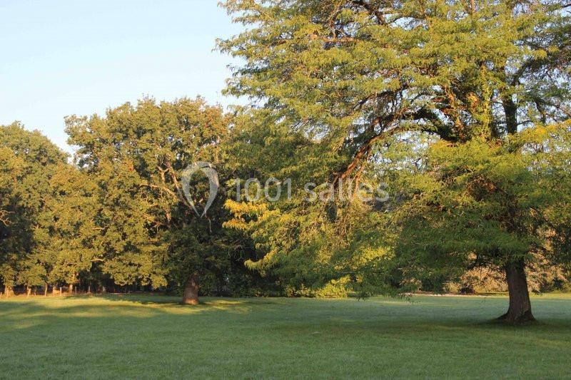 Château de Cop Choux - galerie - photo 7